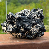 Self-Standing Lustrous Black Tourmaline Crystal with Feldspar from Erongo Mountain, Erongo Region, Namibia