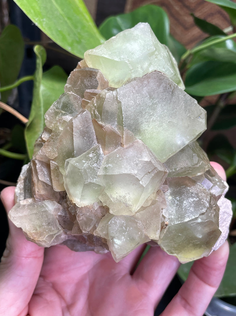 Fluorite from Rogers Mine, Huntingdon Township, Hastings County, Ontario, Canada