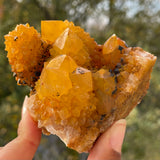 Spirits Quartz - Wholesale flat from Boekenhouthoek, South Africa - 16 pieces (2.770 kg)