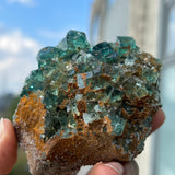 Top Shelf Fluorite, Okorusu Mine, Otjiwarongo Region, Karibib District, NAMIBIA
