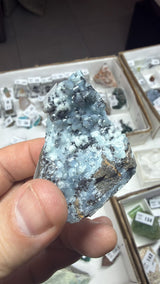 @worldofrockhounds (World of Rockhounds) TT
