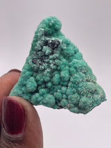 20 Piece Flat of Vibrant Chrysocolla with Malachite & Brochantite, from Usakos, Erongo Region, Namibia