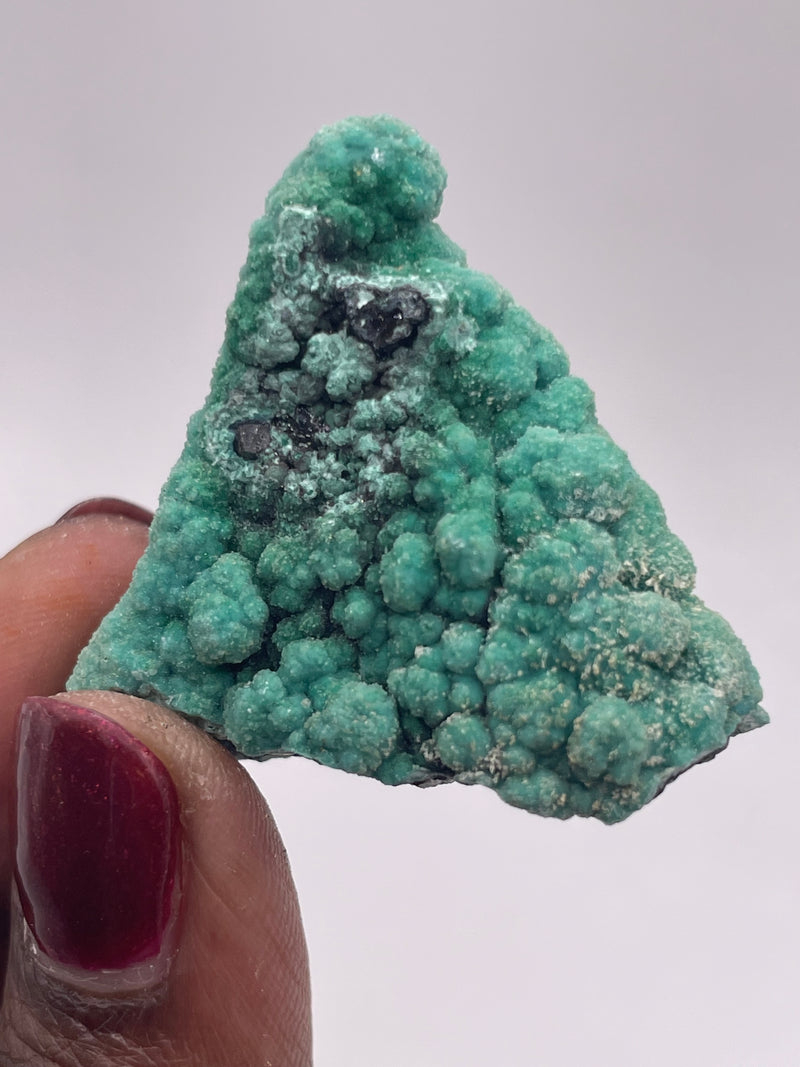 20 Piece Flat of Vibrant Chrysocolla with Malachite & Brochantite, from Usakos, Erongo Region, Namibia