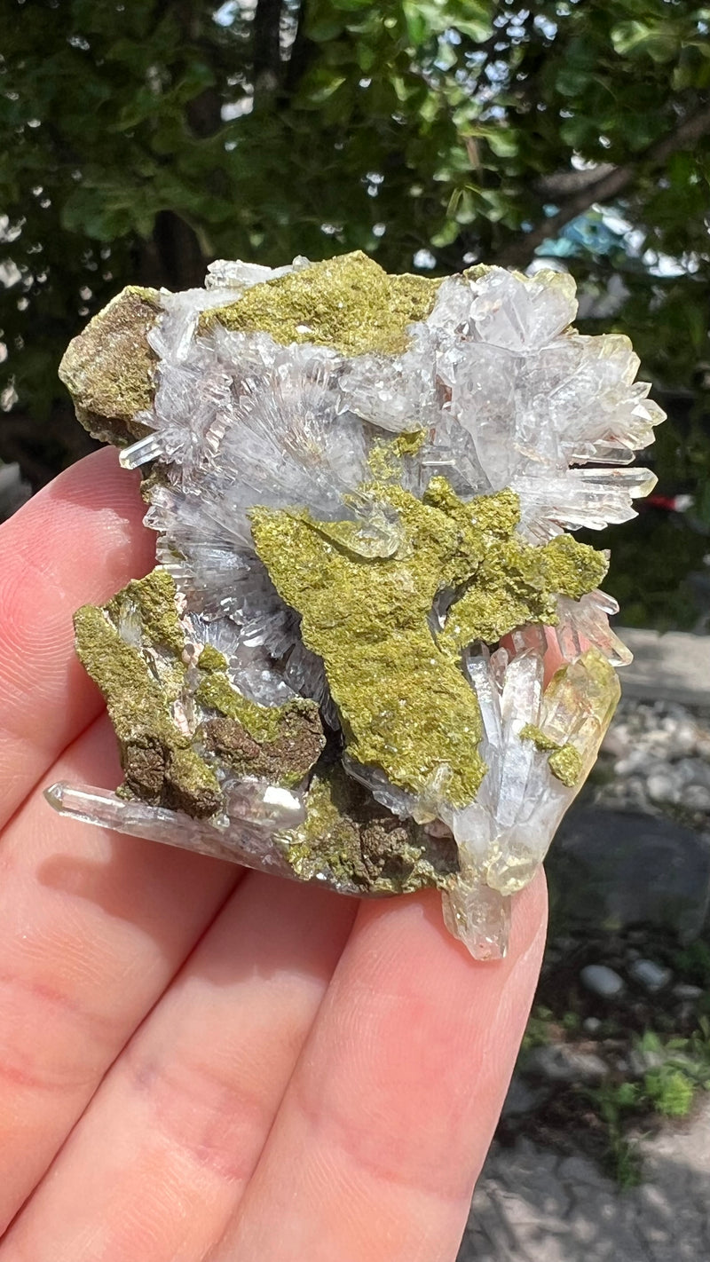 Harledote Brandberg Quartz flat 24 pieces from Goboboseb Mountains, Erongo Region, Namibia