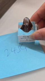 ash183927 TT Singapore July 21