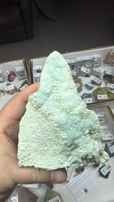 @worldofrockhounds (World of Rockhounds) TT