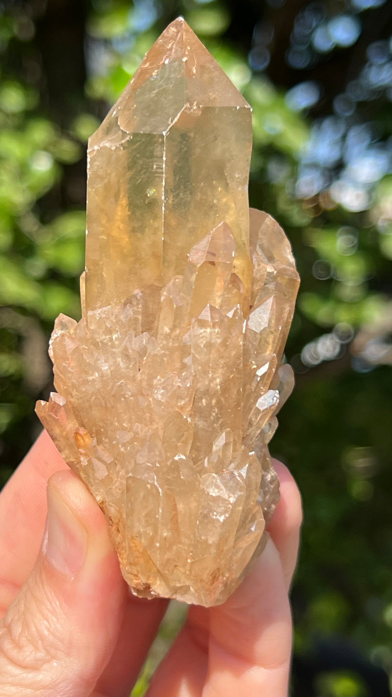 Kundalini Citrine Wholesale Flat 12 pieces from Democratic Republic of Congo