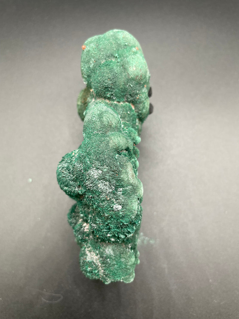 Atacamite from Castle Grid Deposit, Mount Gunson Copper Mines, Pernatty Lagoon, Stuart Shelf, South Australia, Australia