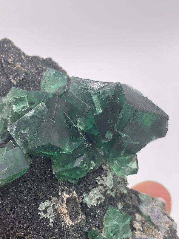 UK Fluorite from the Greedy Hog Pocket, Diana Maria Mine, England