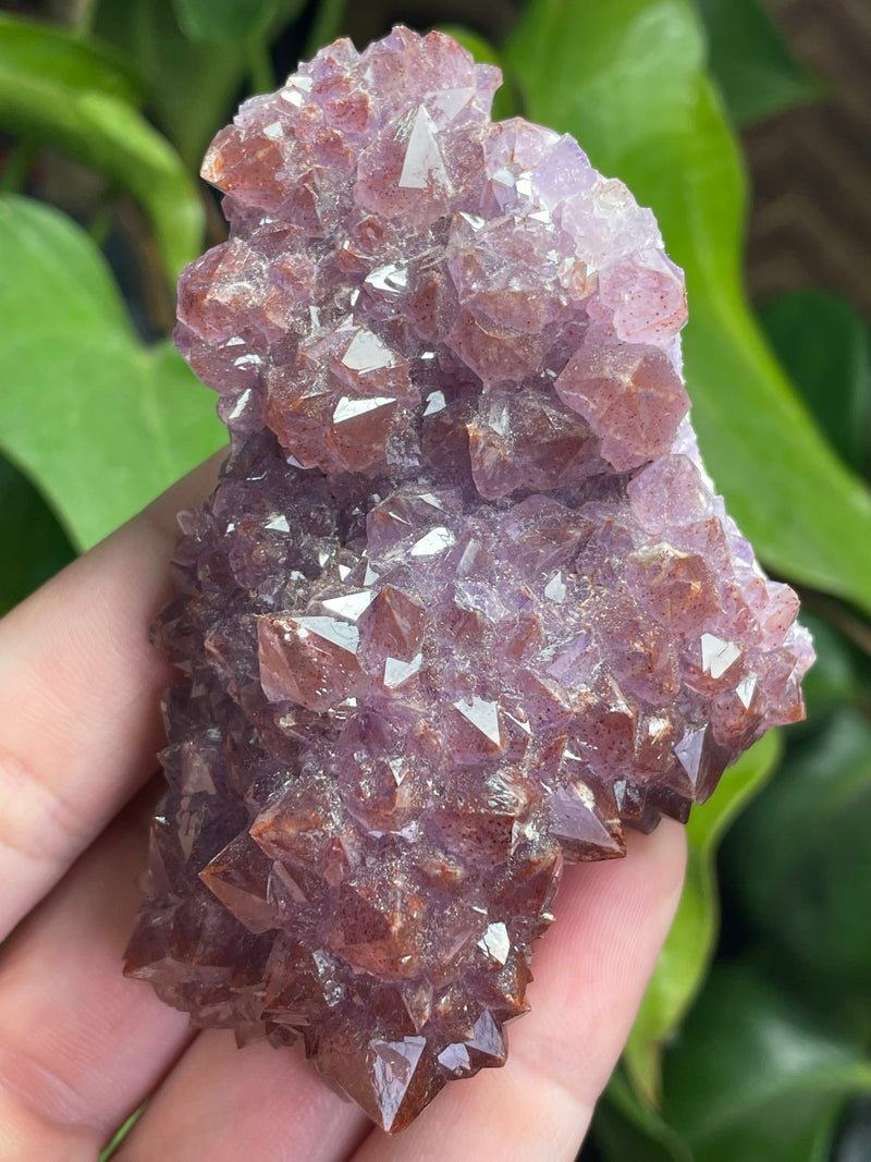 Amethyst from Diamond Willow Mine, Pearl, ON, Canada