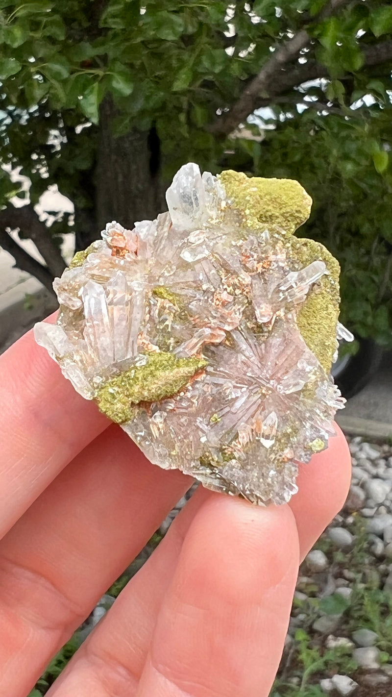 Harledote Brandberg Quartz flat 54 pieces from Goboboseb Mountains, Erongo Region, Namibia