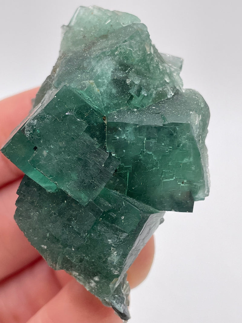 UK Fluorite from the Truffle Pig Pocket, Diana Maria Mine, England