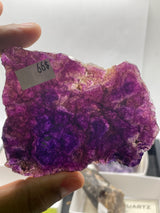 @crazy4euphorbia