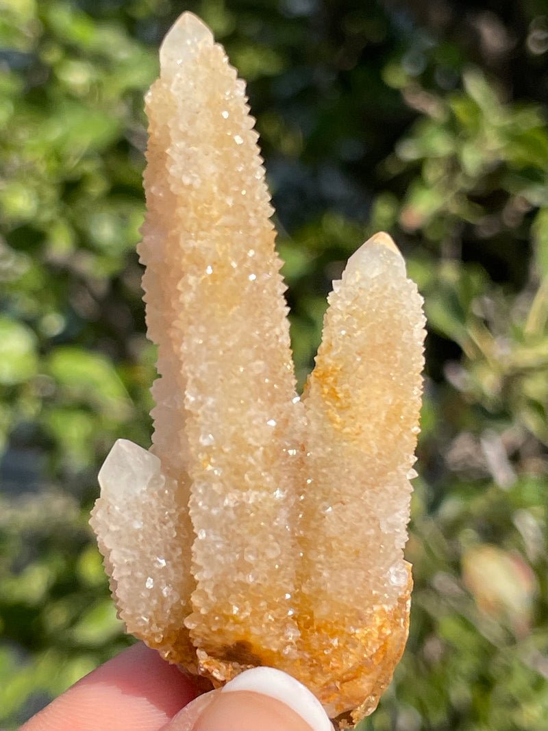 1 piece of Witch’s Finger Quartz from Boukenhoethoek, South Africa