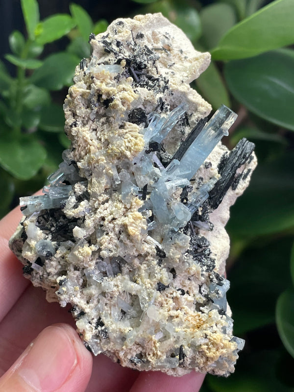 Aquamarine Specimen on Feldspar with Black Tourmaline, from Erongo Mountain, Erongo Region, Namibia