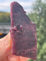 Liddicoatite Tourmaline from Sahatany Valley, Ibity, Antsirabe II, Vakinankaratra, Madagascar