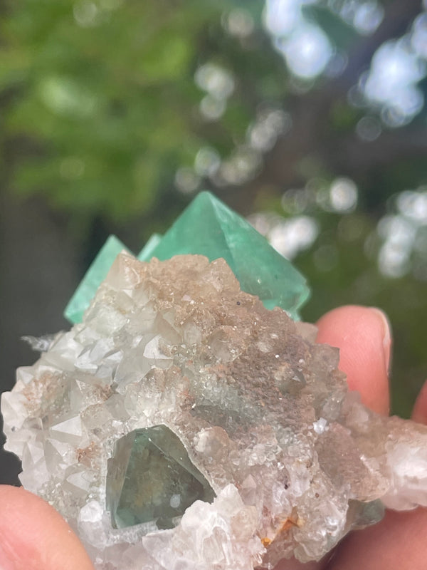 Orange River Fluorite from Riemvasmaak South Africa