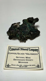 @mohlsen81 Cretaceous Artifacts April 15