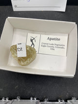@vegroxie