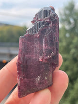 Liddicoatite Tourmaline from Sahatany Valley, Ibity, Antsirabe II, Vakinankaratra, Madagascar