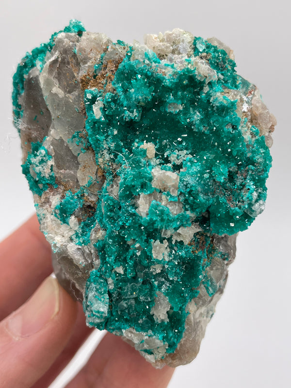 Dioptase on Quartz from Omaue, Kaokoveld, Namibia