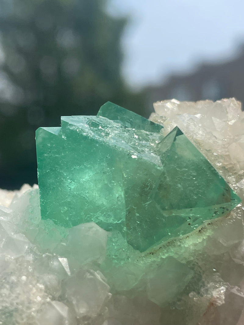 Orange River Fluorite from Riemvasmaak South Africa