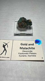 @mohlsen81 Cretaceous Artifacts May 13 (