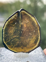 Liddicoatite Tourmaline Slice from Madagascar