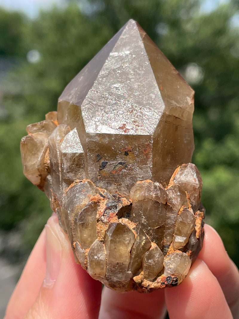 Lot of Kundalini Quartz Citrine, Democratic Republic of Congo, Lwena, Congo Citrine