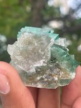 Orange River Fluorite from Riemvasmaak South Africa