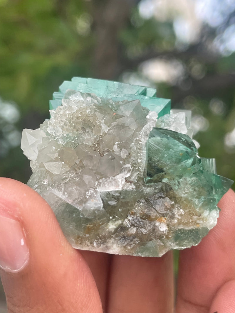 Orange River Fluorite from Riemvasmaak South Africa