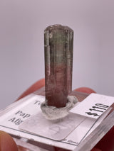 @krystonite