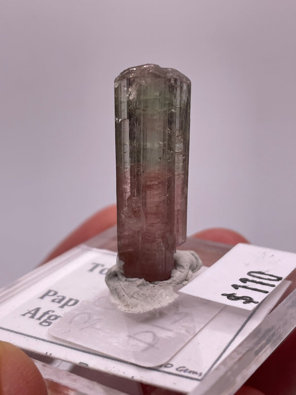 @krystonite