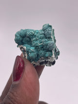 20 Piece Flat of Vibrant Chrysocolla with Malachite & Brochantite, from Usakos, Erongo Region, Namibia
