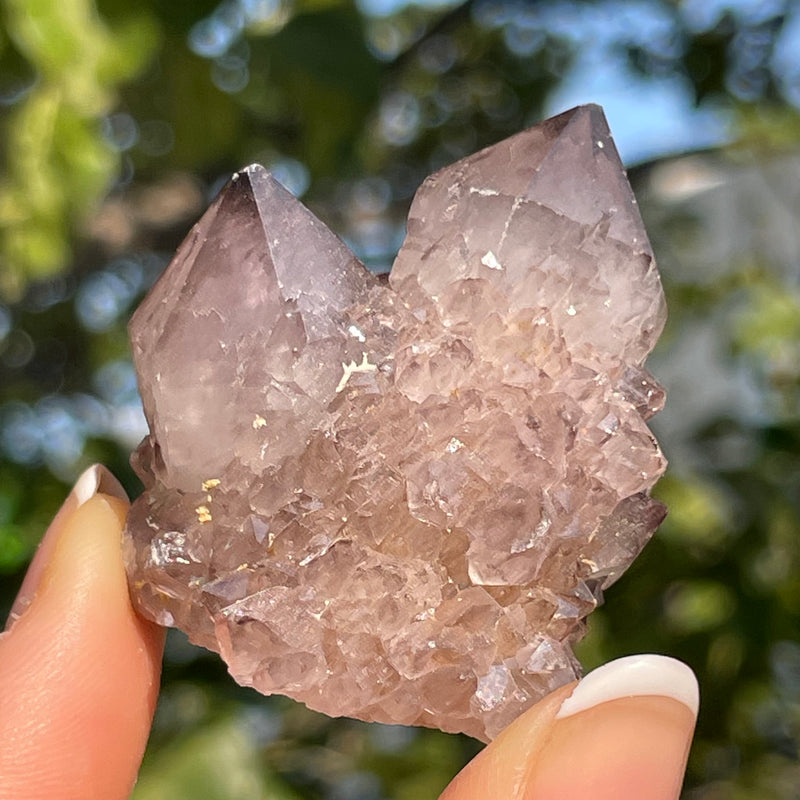 Amethyst Spirit Quartz - Cactus Witches Fingers - Wholesale flat (35 pieces) - South Africa