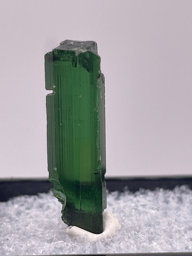 Tourmaline from Neuschwaben, Karibib, Erongo Region, Namibia