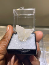 Open Japan Law Twin Quartz Perky from Madagascar