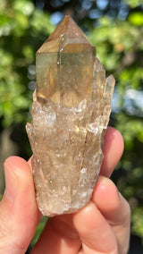Kundalini Citrine Wholesale Flat 24 pieces from Democratic Republic of Congo