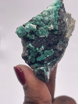 20 Piece Flat of Vibrant Chrysocolla with Malachite & Brochantite, from Usakos, Erongo Region, Namibia