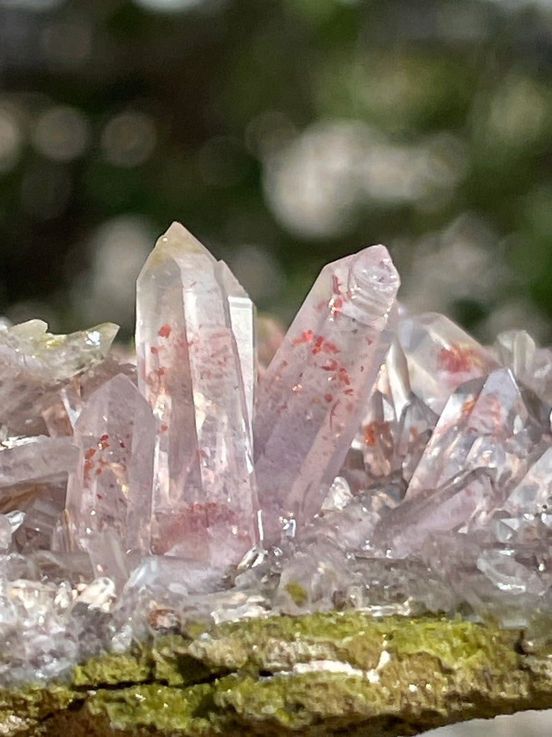 Harledote Brandberg Quartz (2nd pocket) from Goboboseb Mountains, Erongo Region, Namibia