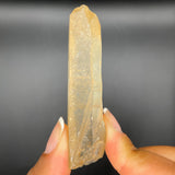 1 Medium Natural Zambian Citrine wand, Citrine Quartz From Mansa, Zambia, Citrine Points