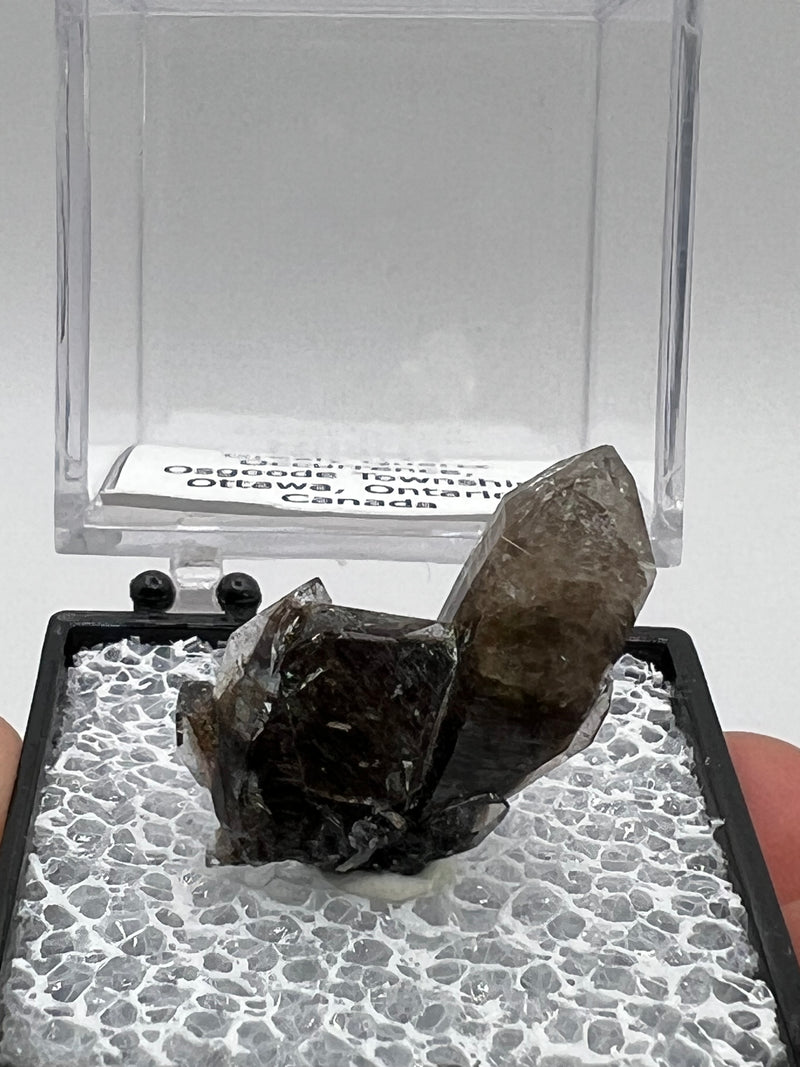 Greely Quartz from the Greely Quartz Occurrence, Osgoode Township, Ottawa, Ontario, Canada
