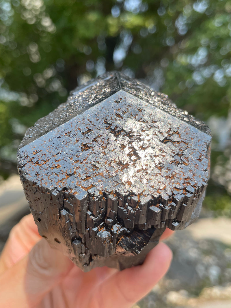 Black Tourmaline Flat 12 pieces from the Erongo Region Namibia