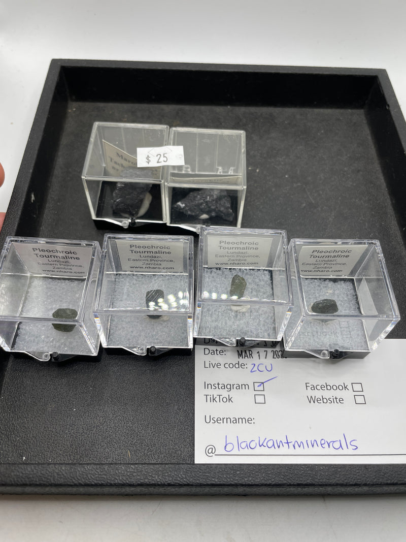@blackantminerals