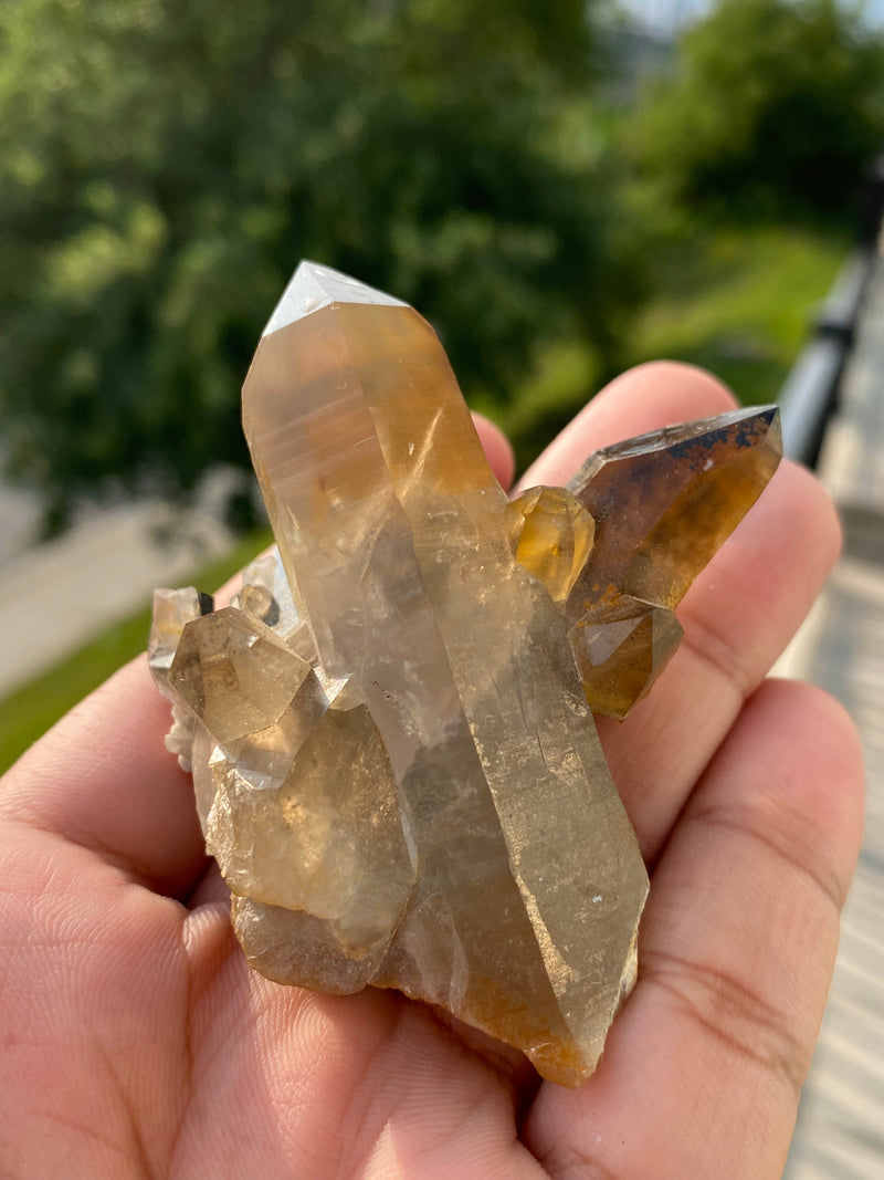 Smoky Quartz with Black Tourmaline from Erongo mountain, Erongo region, Namibia