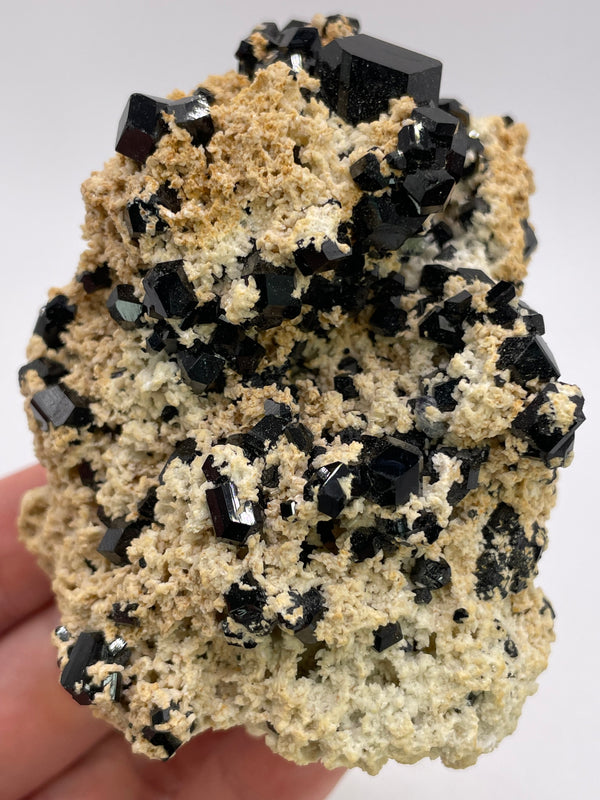 Black Tourmaline cluster on Feldspar from the Erongo Mountain, Namibia
