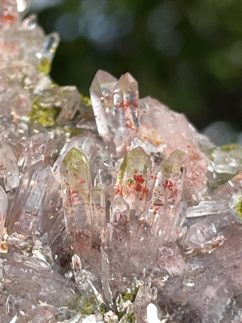 Harledote Brandberg Quartz (2nd pocket) from Goboboseb Mountains, Erongo Region, Namibia