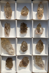 Kundalini Citrine Wholesale Flat 12 pieces from Democratic Republic of Congo
