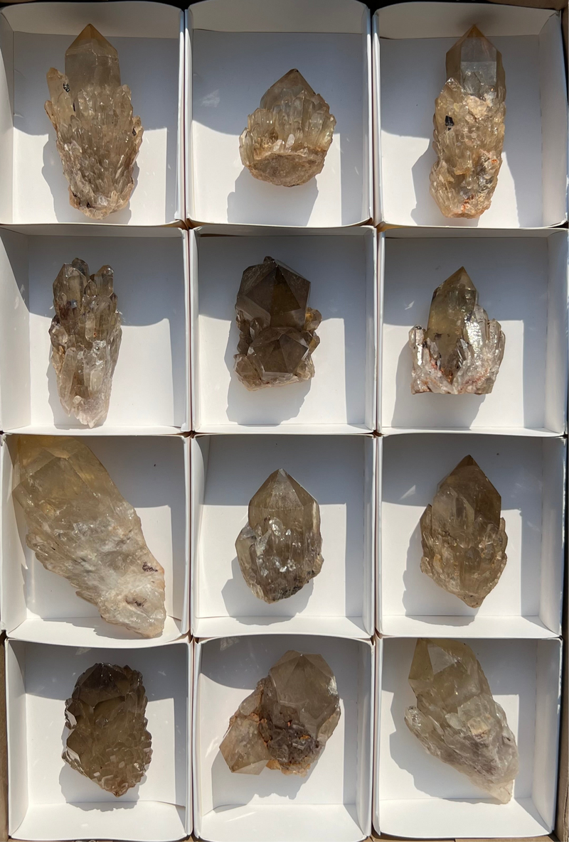 Kundalini Citrine Wholesale Flat 12 pieces from Democratic Republic of Congo