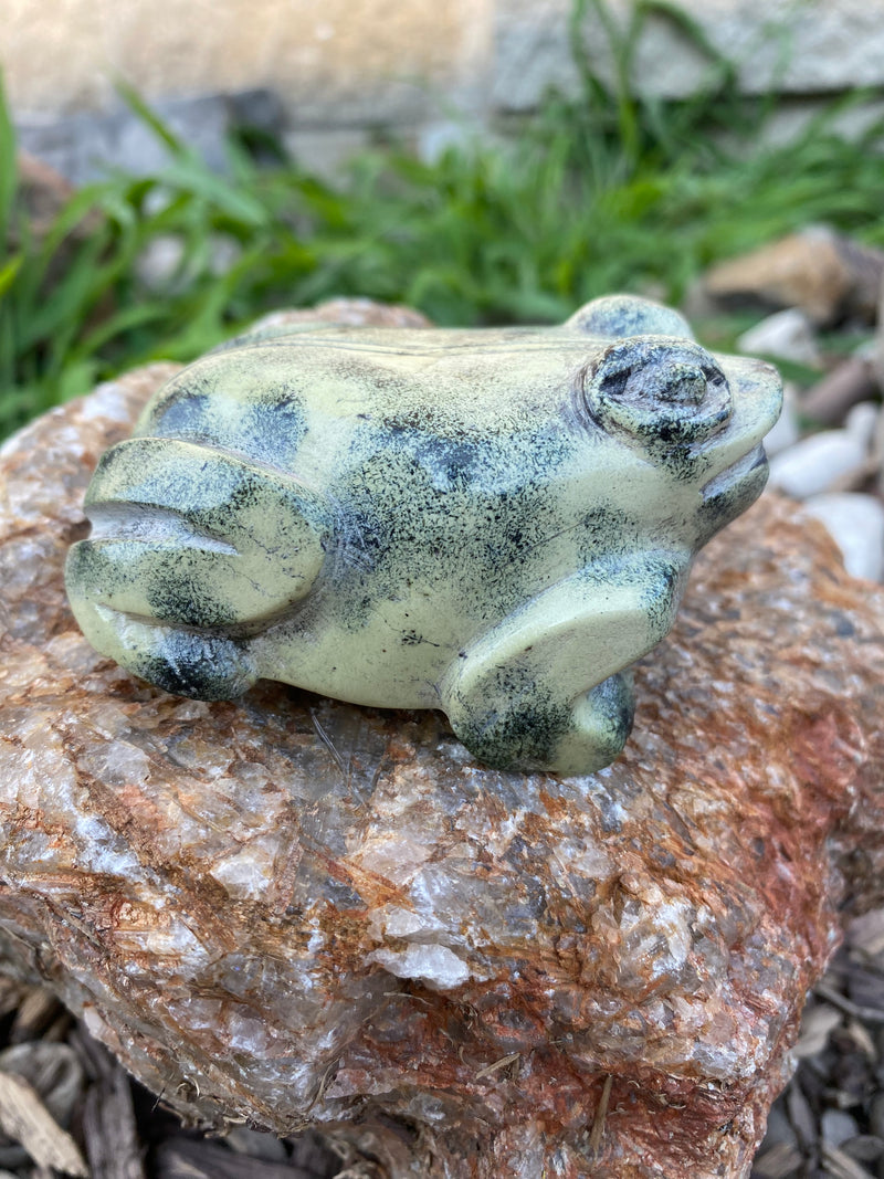 Leopard stone shona sculpture from canon paterson craft society, Mbare, Zimbabwe